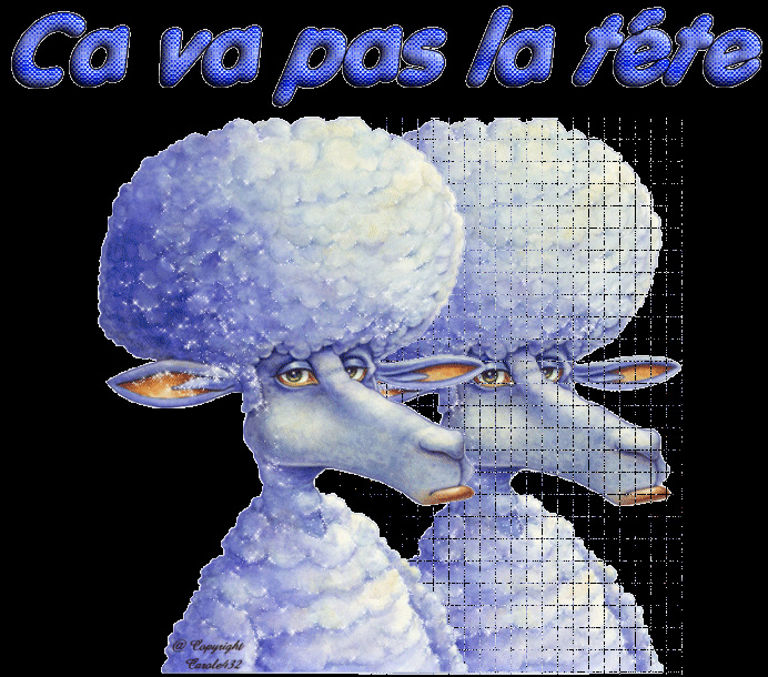 dessin de Carole Dégarie